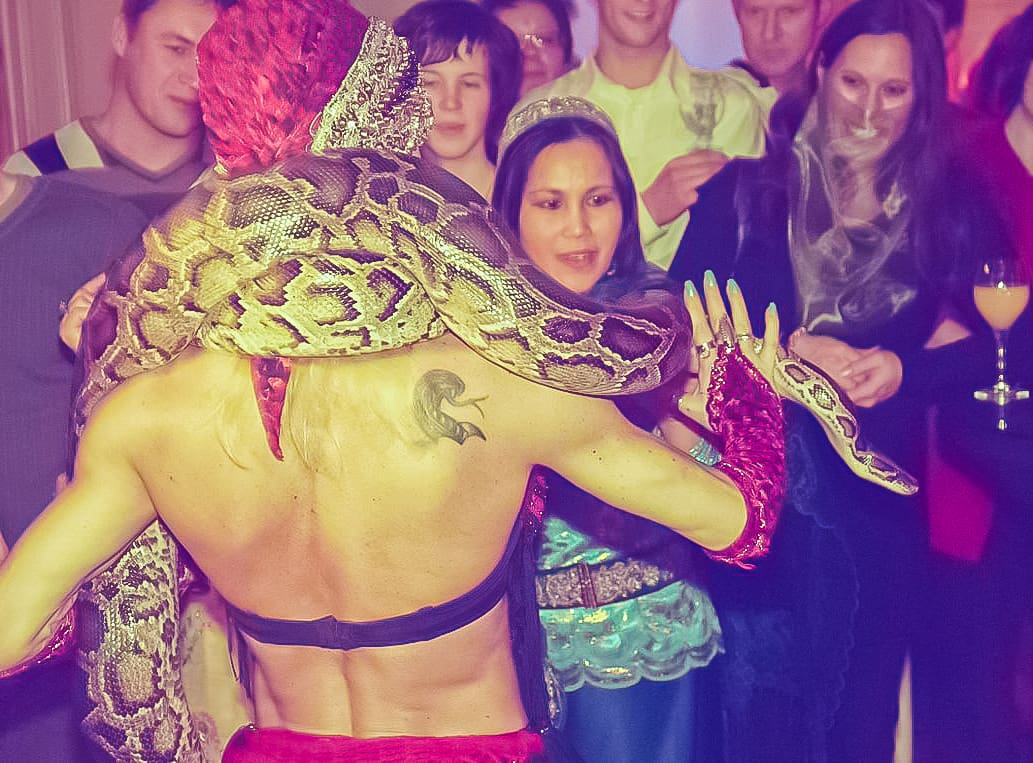 Buikdanseres met slangen feest 1001 nacht