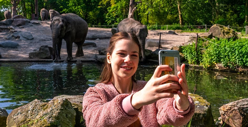 Miss Jane maakt selfie bij de olifanten