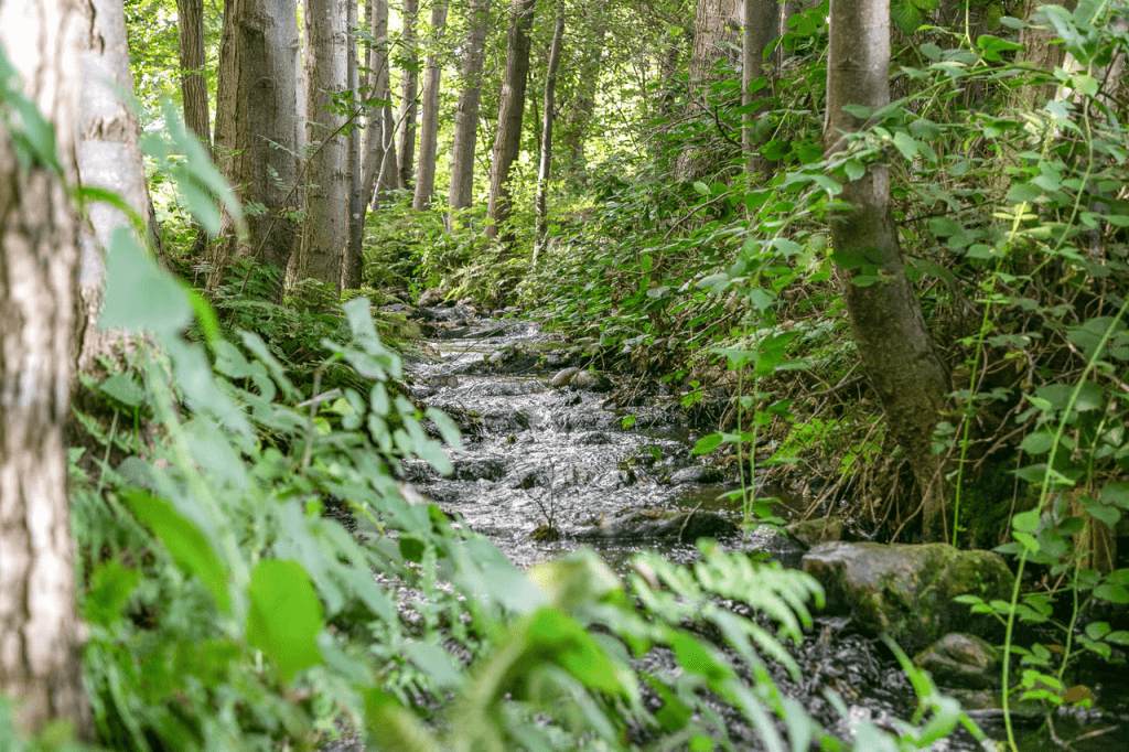 watermolen-rakhorst-beekje-ub-events